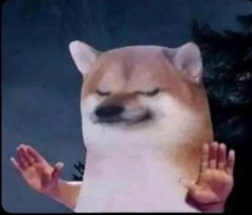 meme 22