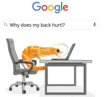 meme 1