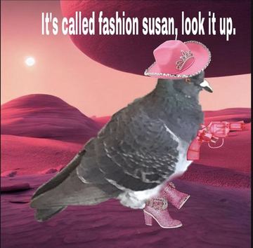 meme 30